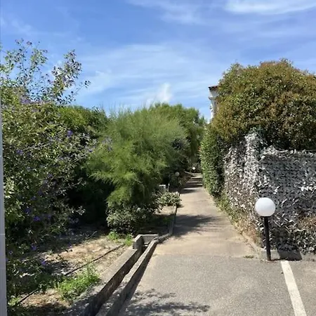 With Garden By Walk Apartment